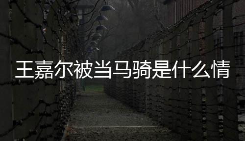 当马当马么节目被王嘉 王骑是情况骑在什尔被什么嘉尔